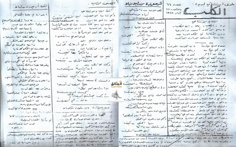 الكلب 3