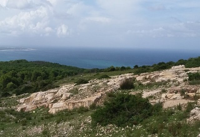 بنزرت الناطور